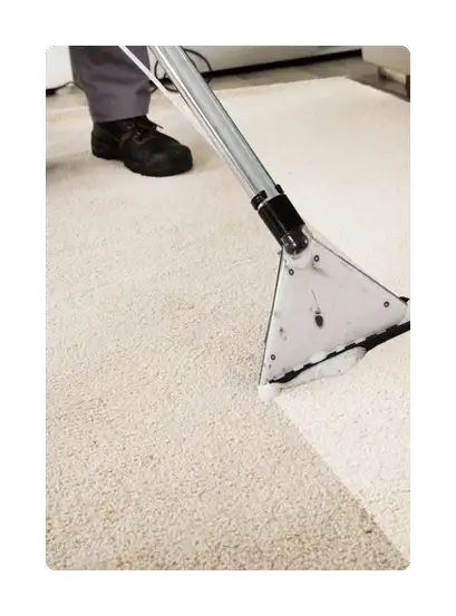 deep carpet cleaning ,carpet and rug cleaning services